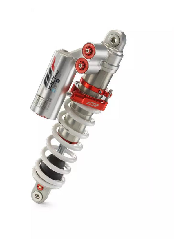 WP Shocks