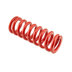 Rear Springs