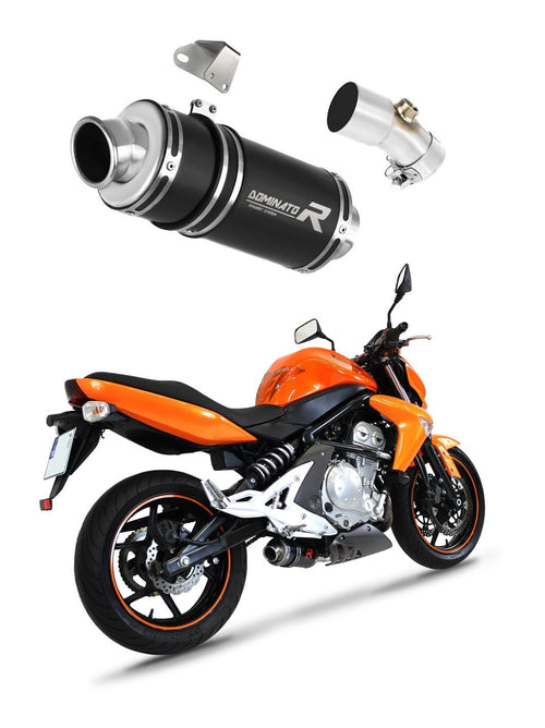 Kawasaki ER - 6 N / F 650 2006 - 2008 Exhaust Silencer Muffler GP1 BLACK + dB killer medium