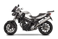 BMW F800 R (09-16) SPARK silencer
