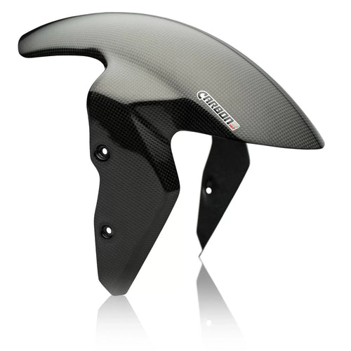 BMW S 1000R 2014-2020 Carbon Fiber Front Fender