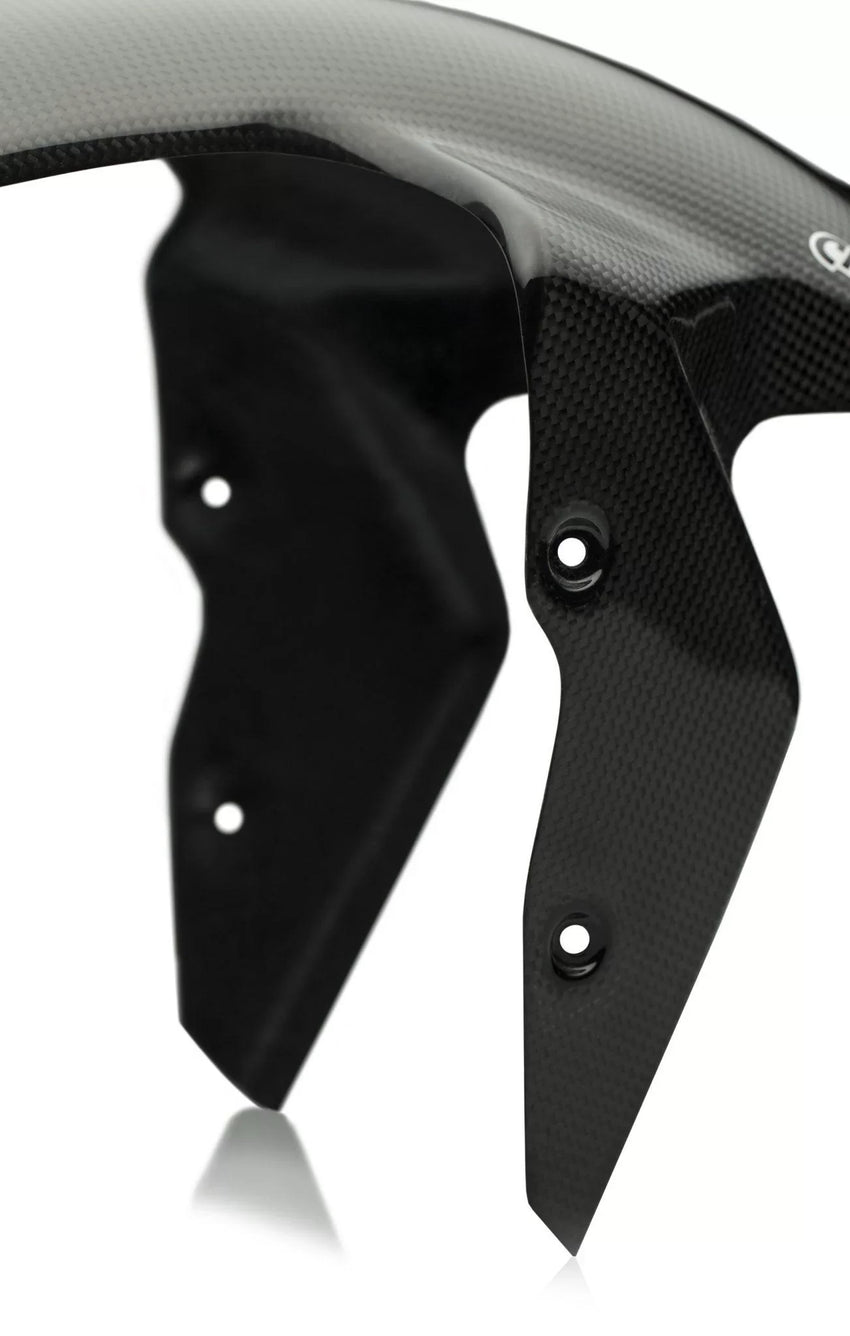 BMW S 1000RR 2009-2018 Carbon Fiber Front Fender