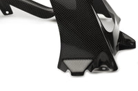 BMW S 1000RR 2009-2018 Carbon Fiber Rear Hugger with Chain Cover ABS