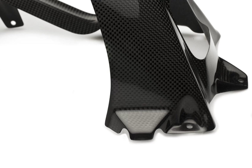 BMW S 1000RR 2009-2018 Carbon Fiber Rear Hugger with Chain Cover ABS