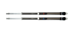 Fork Cartridge KIT F15K Z650 RS 2022+