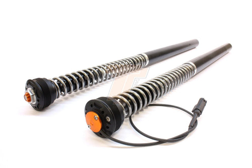 BMW S1000R 2014 - 2020 Fork Cartridge kit eX-TREME