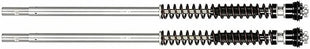 Fork Cartridge KIT F20K Z750R 2011 - 2014