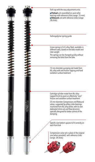 Fork Cartridge KIT F25R TUONO V4R 2011 - 2013