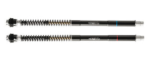 Fork Cartridge KIT F25SA SUPERDUKE 1290 R 2020 - 2023