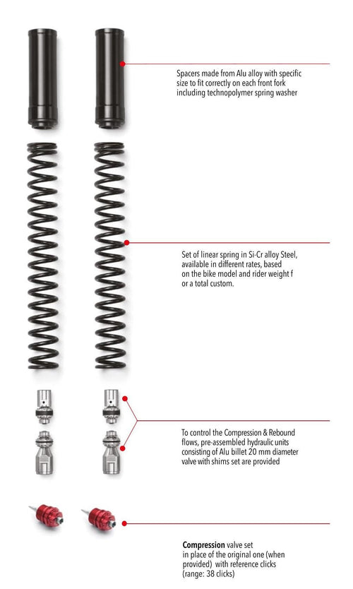 Fork KIT FRK MONSTER 797 2017 - 2020