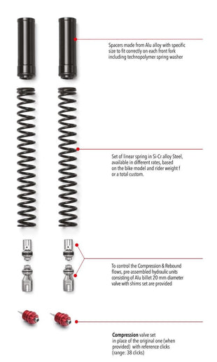 Fork KIT FRK SPEED TRIPLE 1050 2005 - 2010